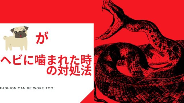 犬の肛門腺の絞り方 頻度や色 においを解説 破裂する前にたまったサインを見つけよう くらげのぷかぷかお風呂漂流記