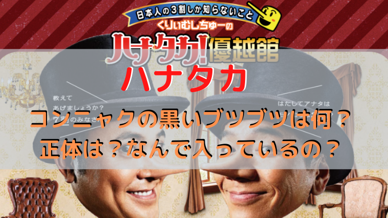 ハナタカ コンニャクの黒いブツブツは何 正体は なんで入っているの 4月16日放送分 好奇心は猫の塊