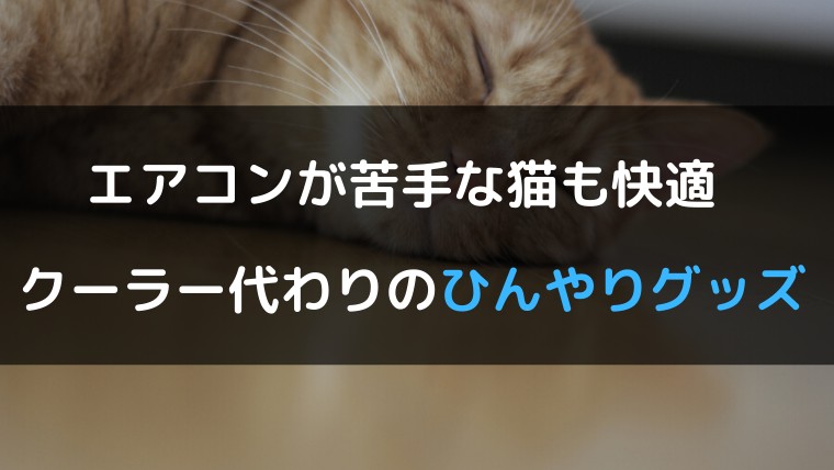 エアコン嫌いな猫の暑さ対策 クーラー以外のひんやりグッズを紹介 くらげのぷかぷかお風呂漂流記