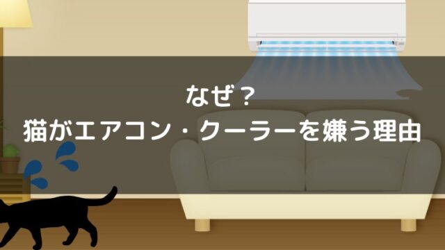 猫がエアコンを苦手な理由は ポイントは 冷房のつけっぱなし と 室温差 くらげのぷかぷかお風呂漂流記