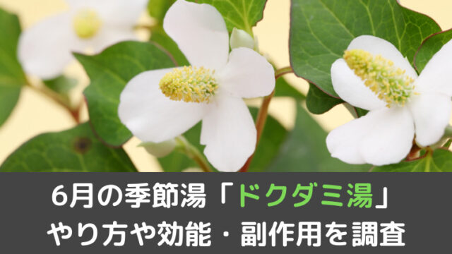 ６月の季節湯 ドクダミ湯のやり方は 効能や危険性 注意点を調査 くらげのぷかぷかお風呂漂流記
